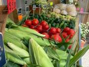 Our garden produced the best you can imagine 