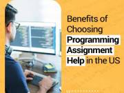 Benefits of Choosing Programming Assignment Help in the US