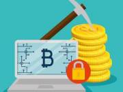 Best Wallet Recover Software Online