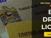  REAL DRIVER LICENSE ONLINE