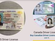 Buy Real Database Registered Driver License