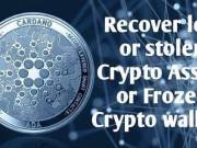 RECOVER YOUR BITCOIN.