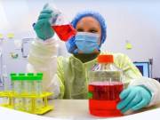 High Quality Cannabinoids