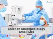 Start boosting your List of Chief of Anesthesiology Emails