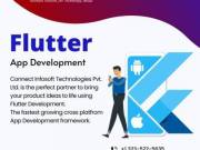 Flutter Dev Team - Connect Infosoft