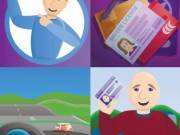 Provide Perfect Driver's License Here