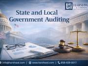 State and Local Government Auditing Services for Financial Excellence