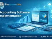 Accounting Software Implementation for Better Financial Visibility