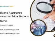 Audit and Assurance Services for Tribal Nations | BlueArrow CPAs