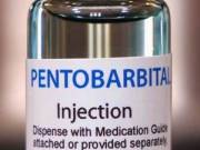  Nembutal Pentobarbital Sodium For sale Now   