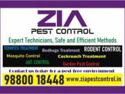 Bedbug and Rodent Control  | Pest Control service in Bangalore | 1821