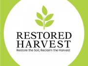 Best Natural Fertilizer: Top Quality Plant Nutrition
