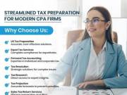 Expert Tax Solutions for Businesses and CPA Firms 