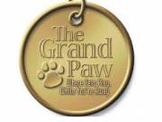 Dog Daycare Center Indian Wells | Pet Boarding Indian Wells - The Grand Paw