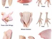 Wholesale Frozen Chickens, Bovine Beef Wholesale 