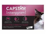 Capstar Flea Tablets for Cats (2-25 lbs) - 30% Off