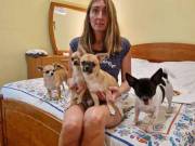 Beautiful Chihuahua Puppies