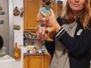 Chihuahua Puppies for adoption