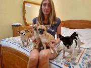 Beautiful Chihuahua puppies ready
