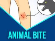 Claim Your Animal Bite Treatment Appointment Right Away