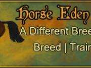 Horse caregiver 