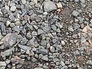 Fundraiser to help victims of I.C.E AGENTS ABUSE