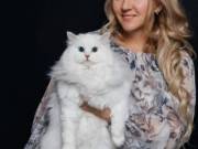 Siberian Kitten for Sale – Siberian Home