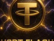 Flash USDT Software 