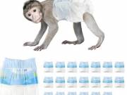  Reusable Primate® Disposable Monkey Diapers