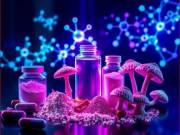 PureRC Store – Trusted Online Research Supplier