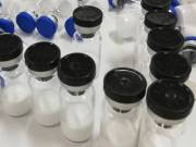 Semaglutide Peptide