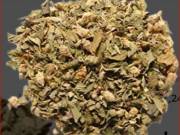  Buy Changa Online